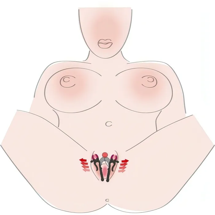 Male Sex Toys | You2Toys Vagina Spreader